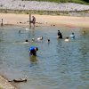 2022-Barron River